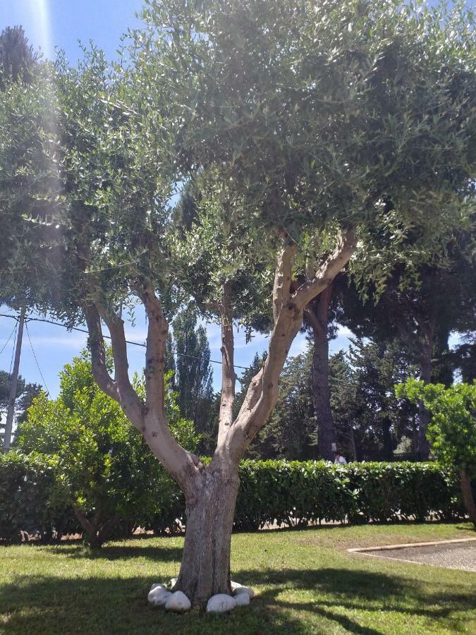 Villa Vittorio Infernetto المظهر الخارجي الصورة